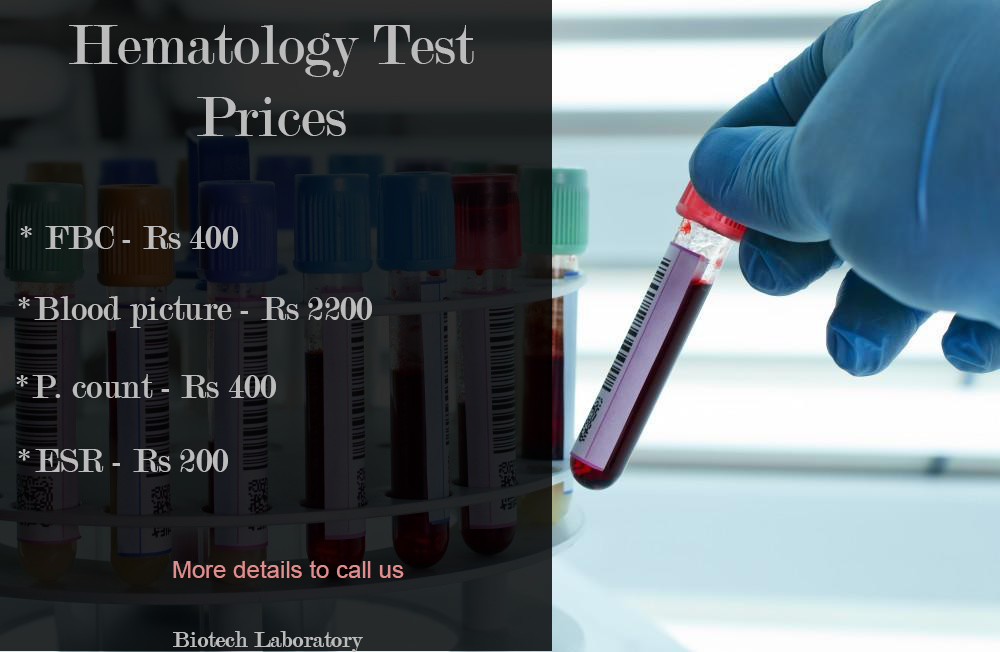 Description of the image